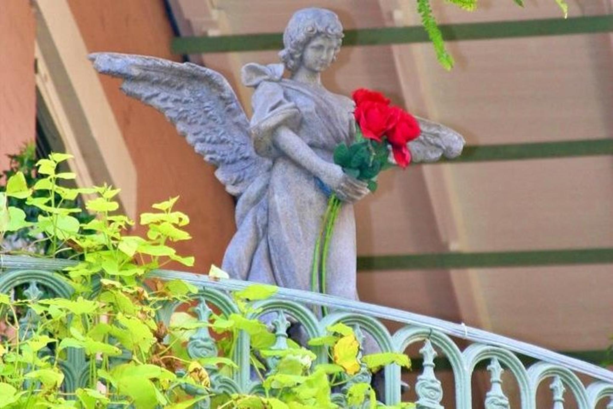 New Orleans French Quarter Walking Tour - Image 2