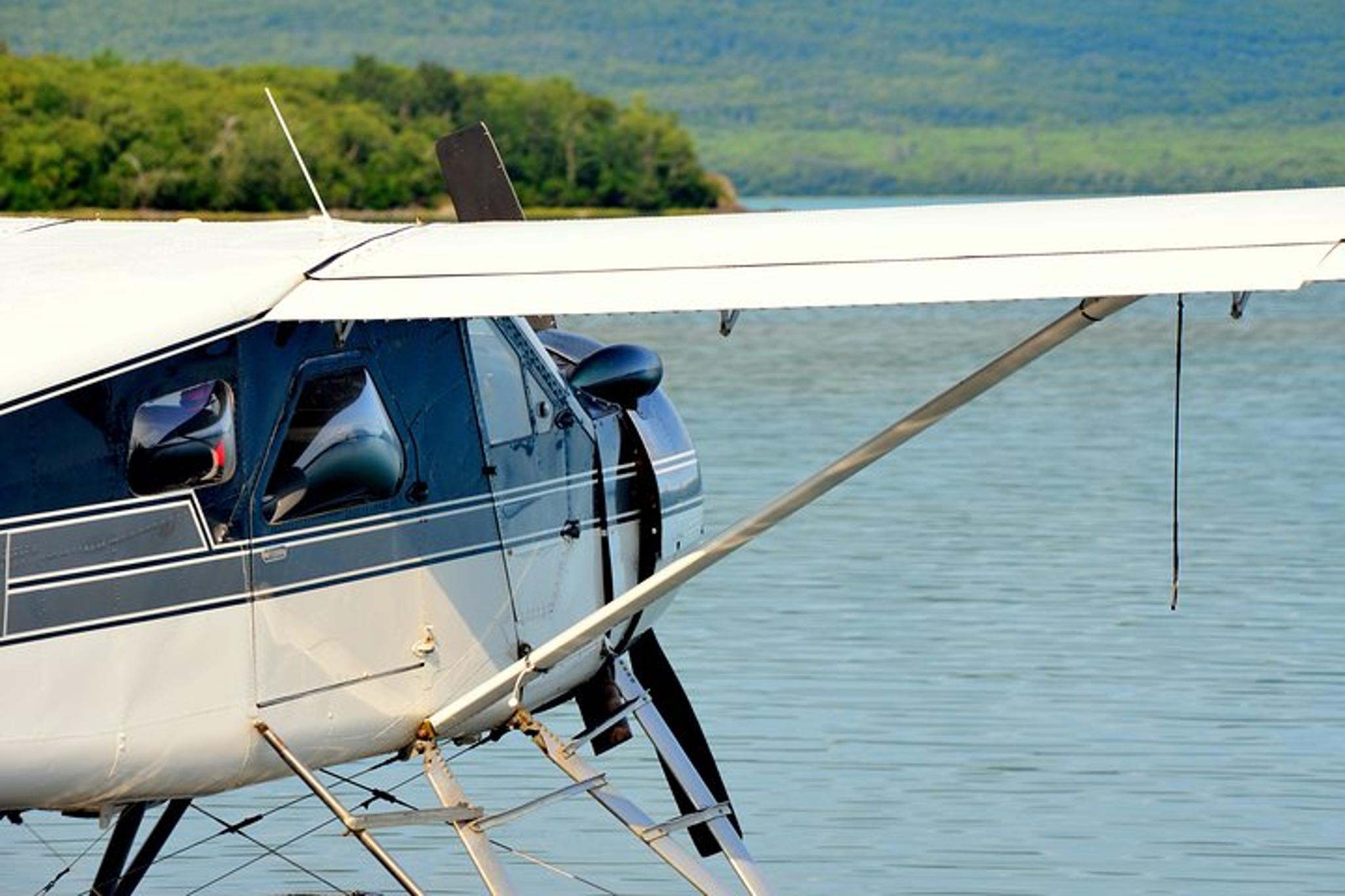 Katmai and Lake Clark Bear Viewing Adventure - Image 4