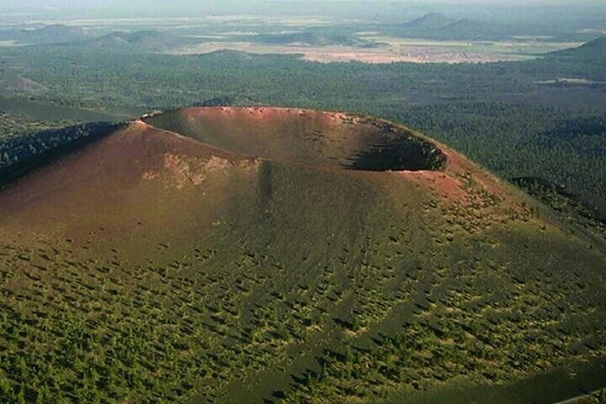 Phoenix to Flagstaff Day Tour - Image 5