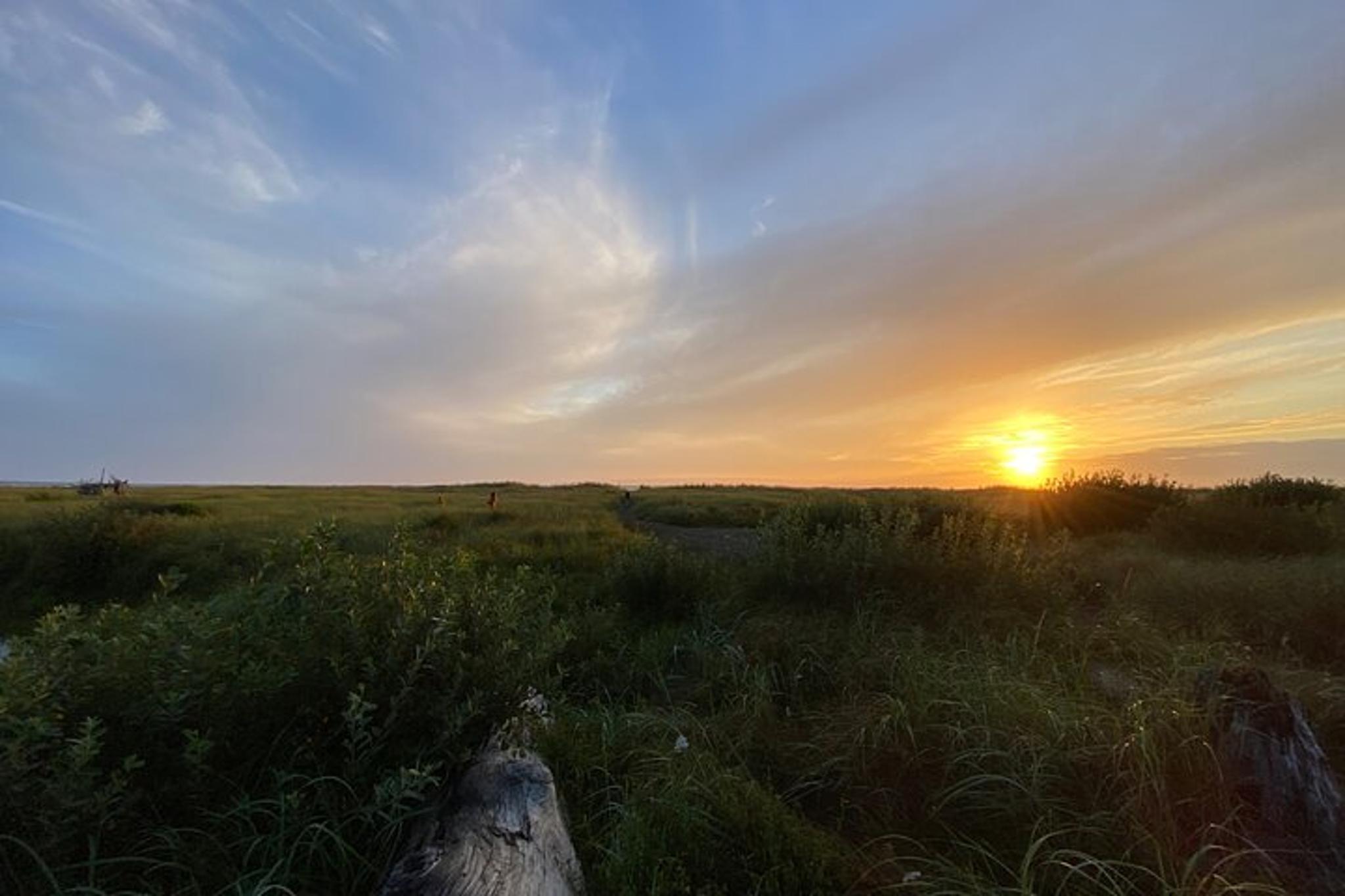 Seabrook Washington Private Shore Exploration - Image 3