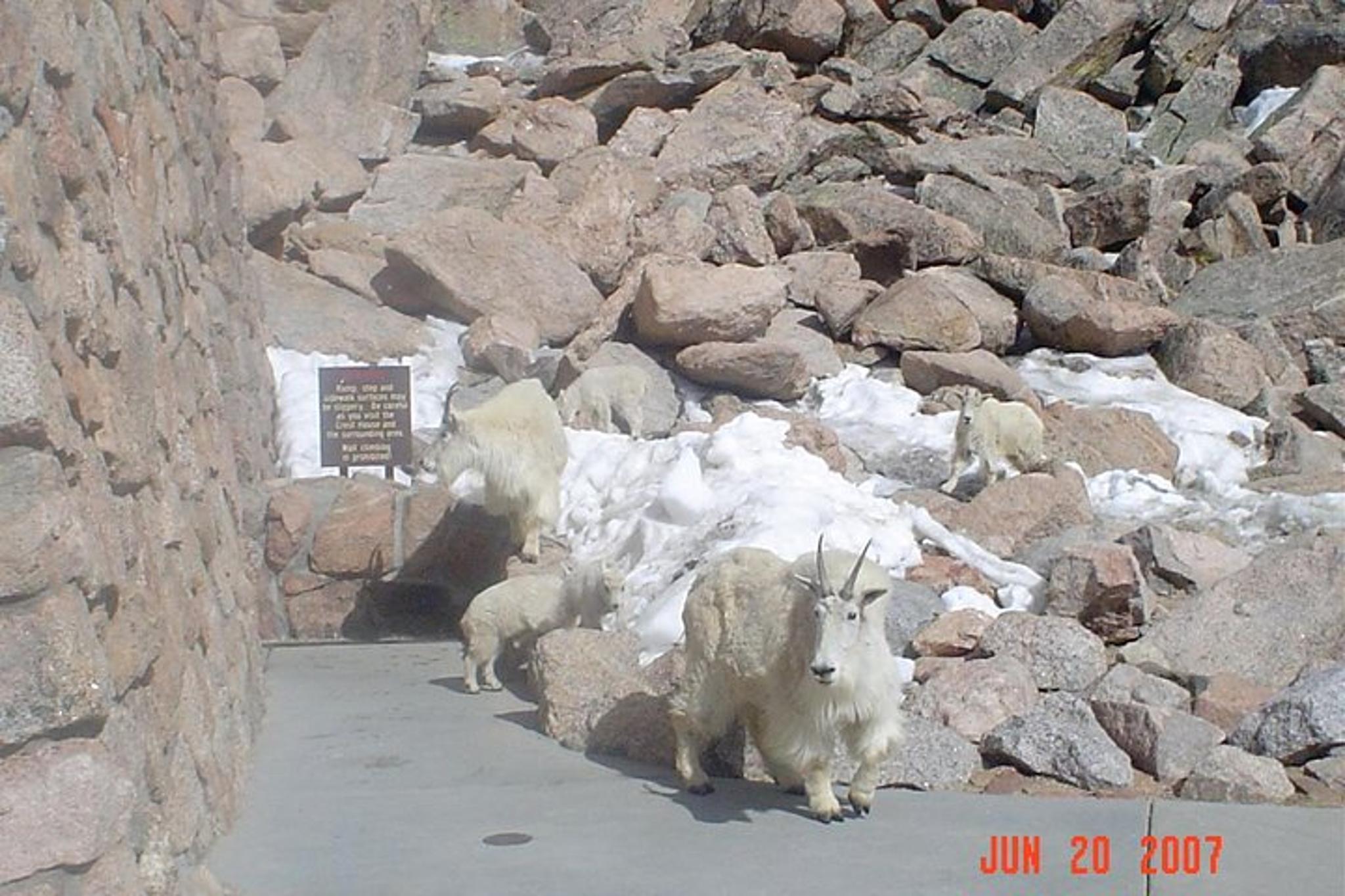 Denver Red Rocks and Mount Evans Private Tour - Image 2
