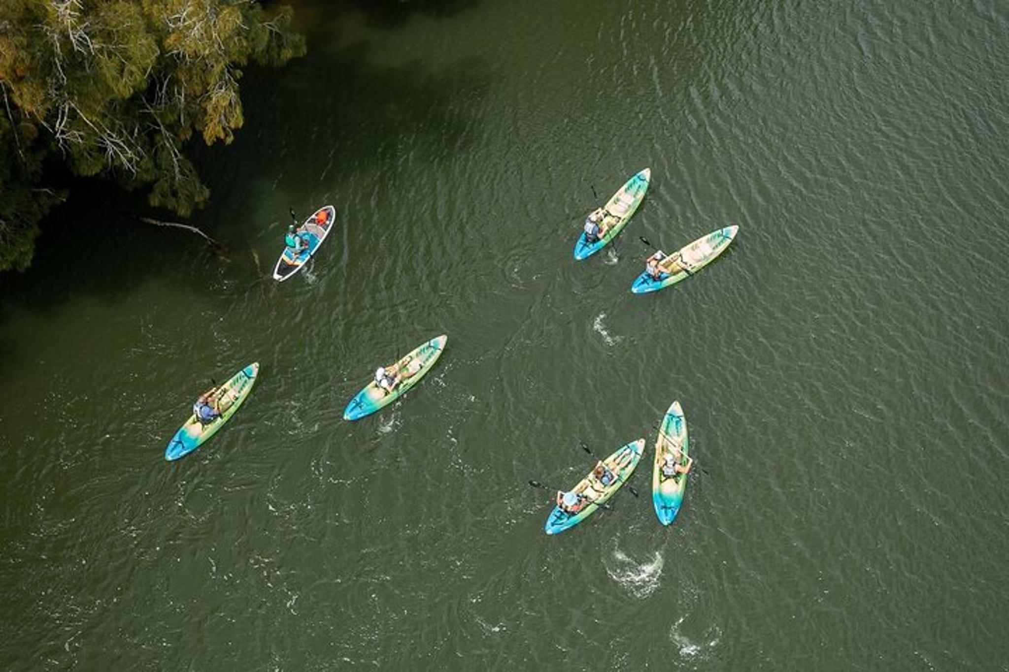 Cocoa Beach Bio Comb Jelly Sunset Kayak Tour - Image 4