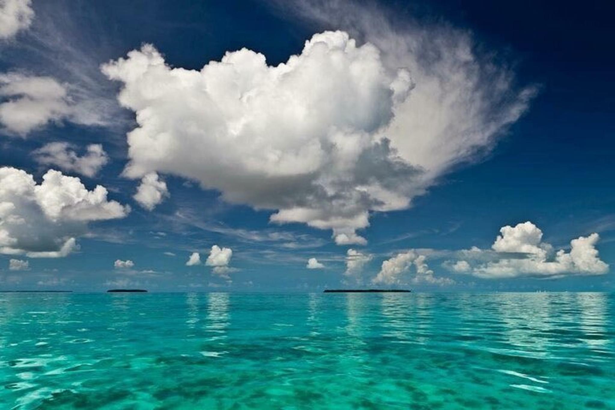 Key West Tiki Boat Eco Cruise - Image 2