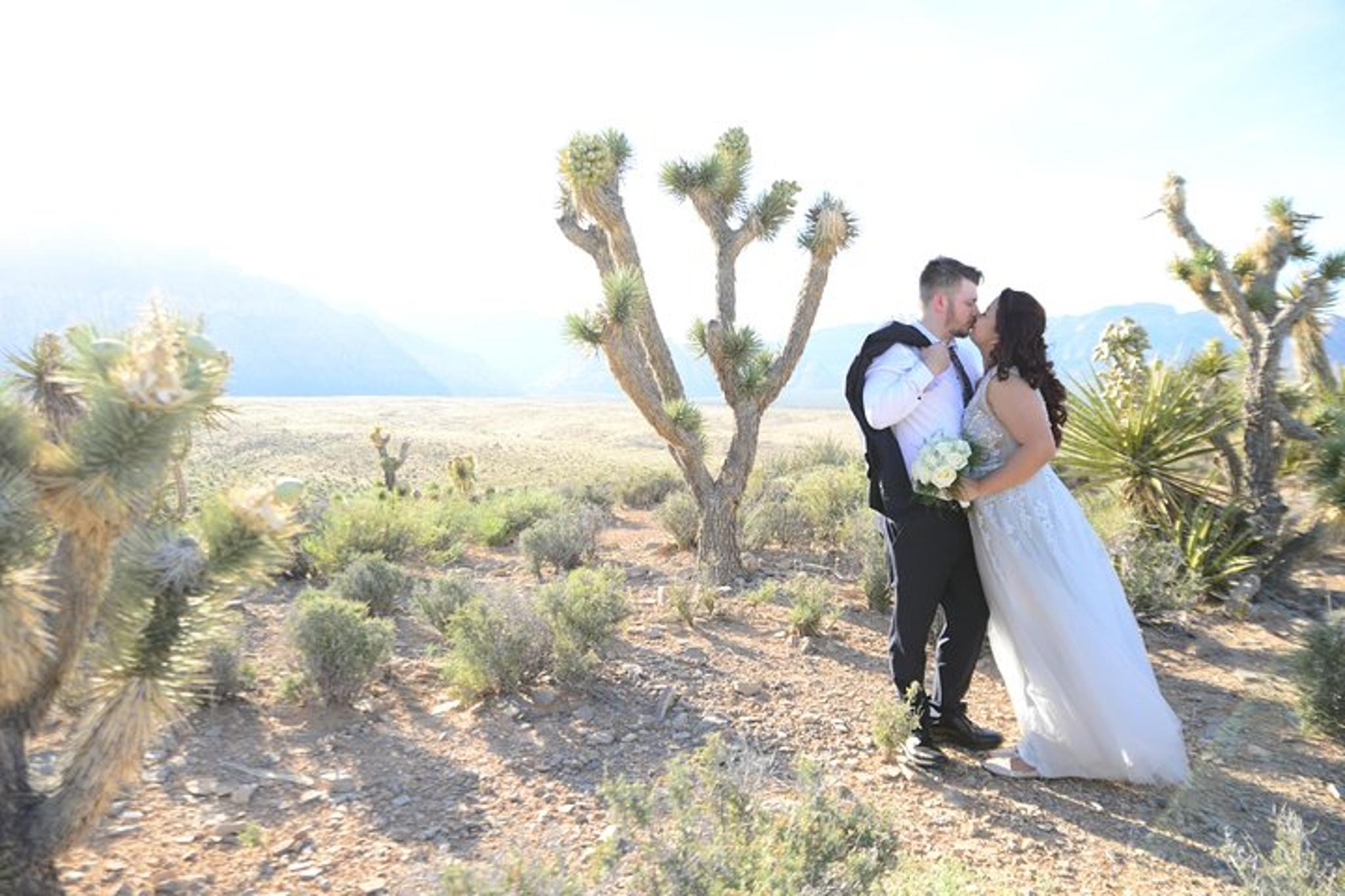 Las Vegas Red Rock Canyon Wedding by Limousine - Image 5