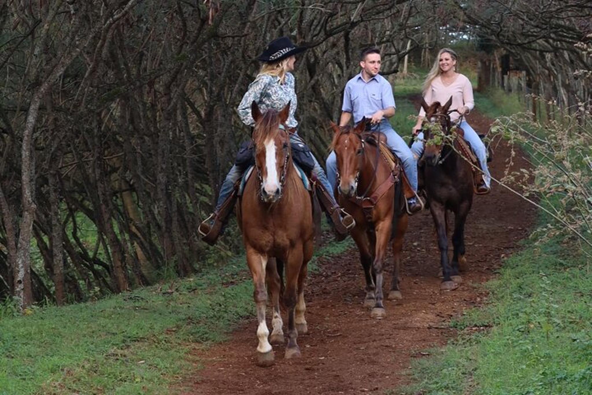 Oahu Horseback Ride with Private Picnic 2 hr