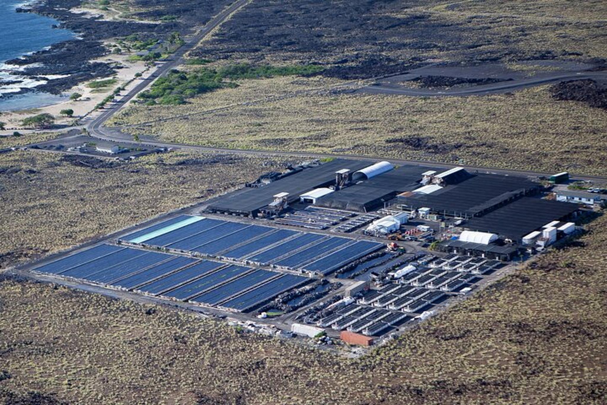 Big Island Abalone Farm Tour - Image 2