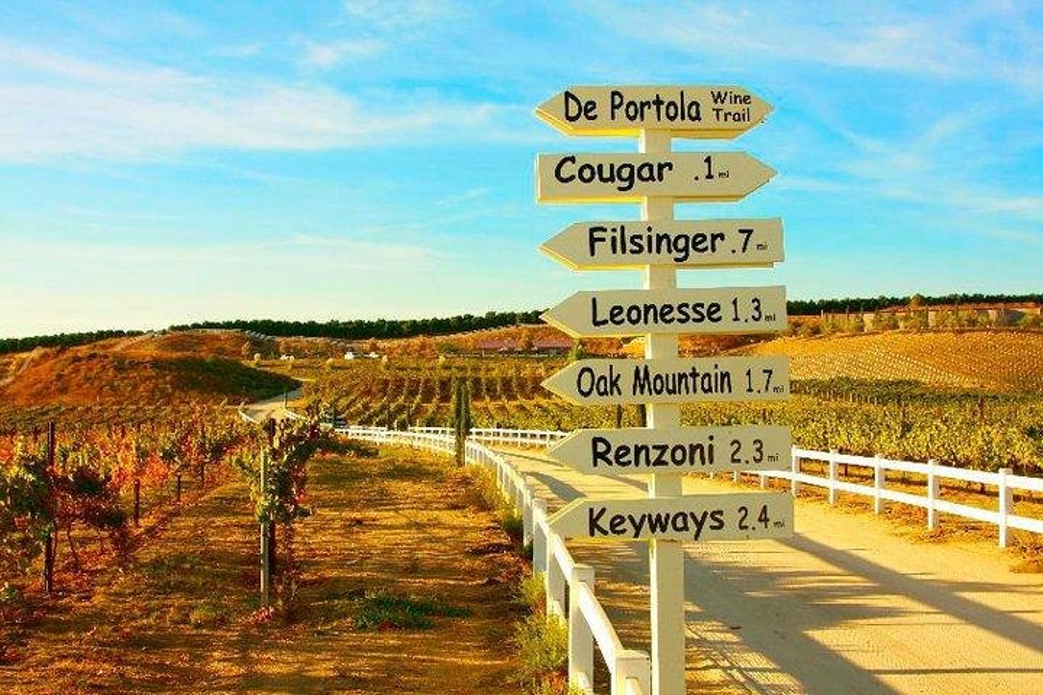 Temecula Wine Tasting Tour - Image 2