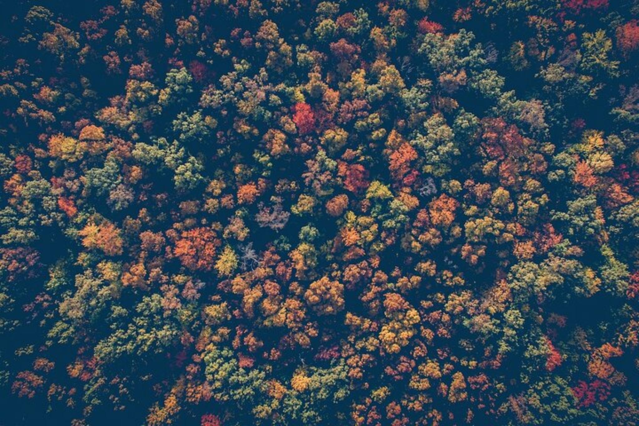 New York City Fall Foliage Cruise - Image 5