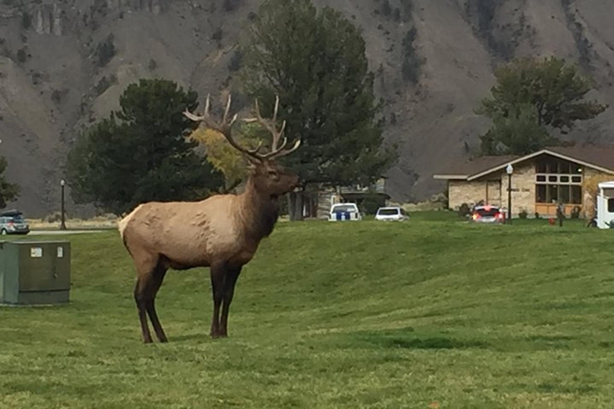 Las Vegas National Parks Camping Tour 7 Days - Image 5