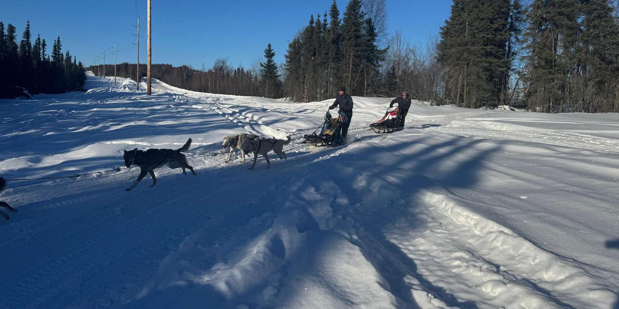 Fairbanks Dog Mushing School 2 hr