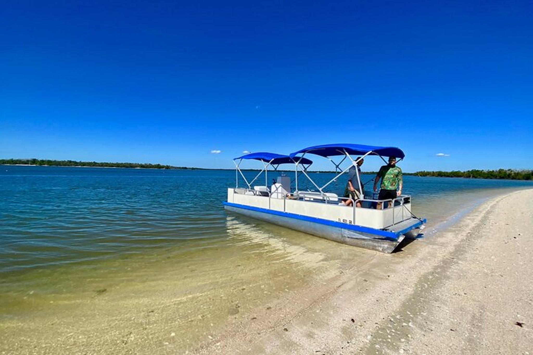 10,000 Islands Dolphin and Manatee Boat Tour - Image 5