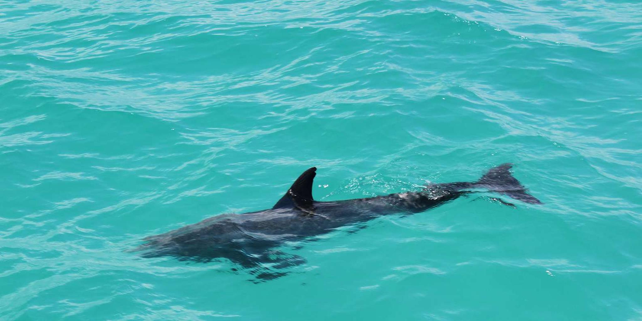 Miami to Key West Shuttle with Activities - Image 6