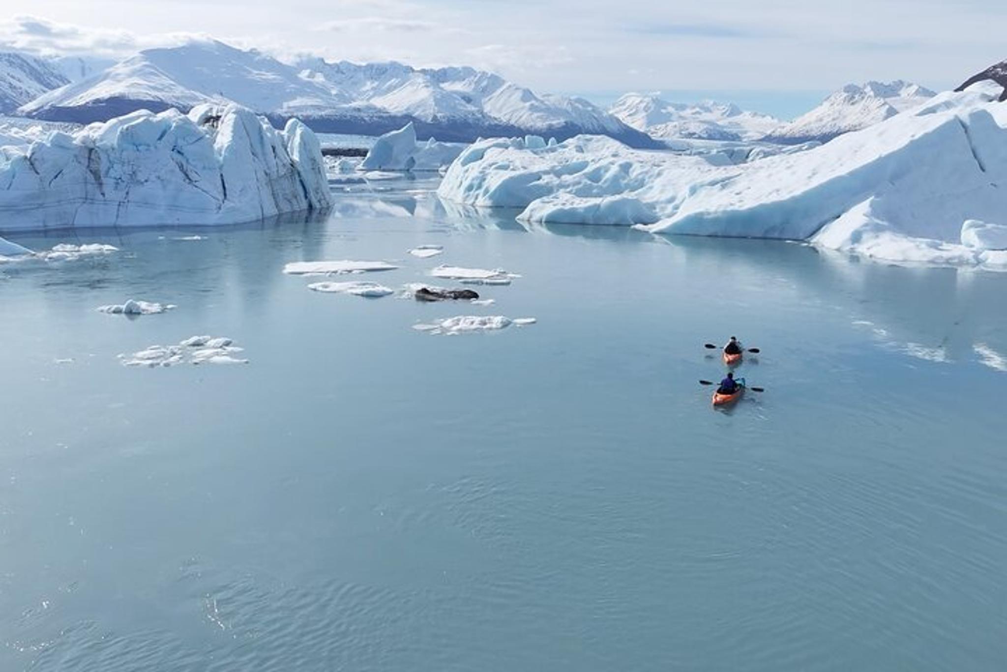 Anchorage Glacier Kayaking Knik Glacier Day Tour - Image 3