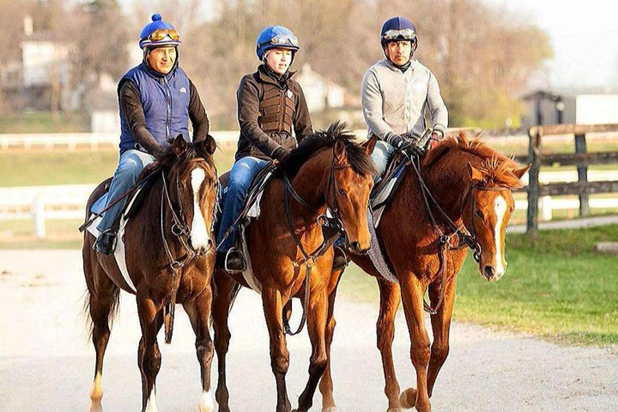 Lexington Thoroughbred Center Tour