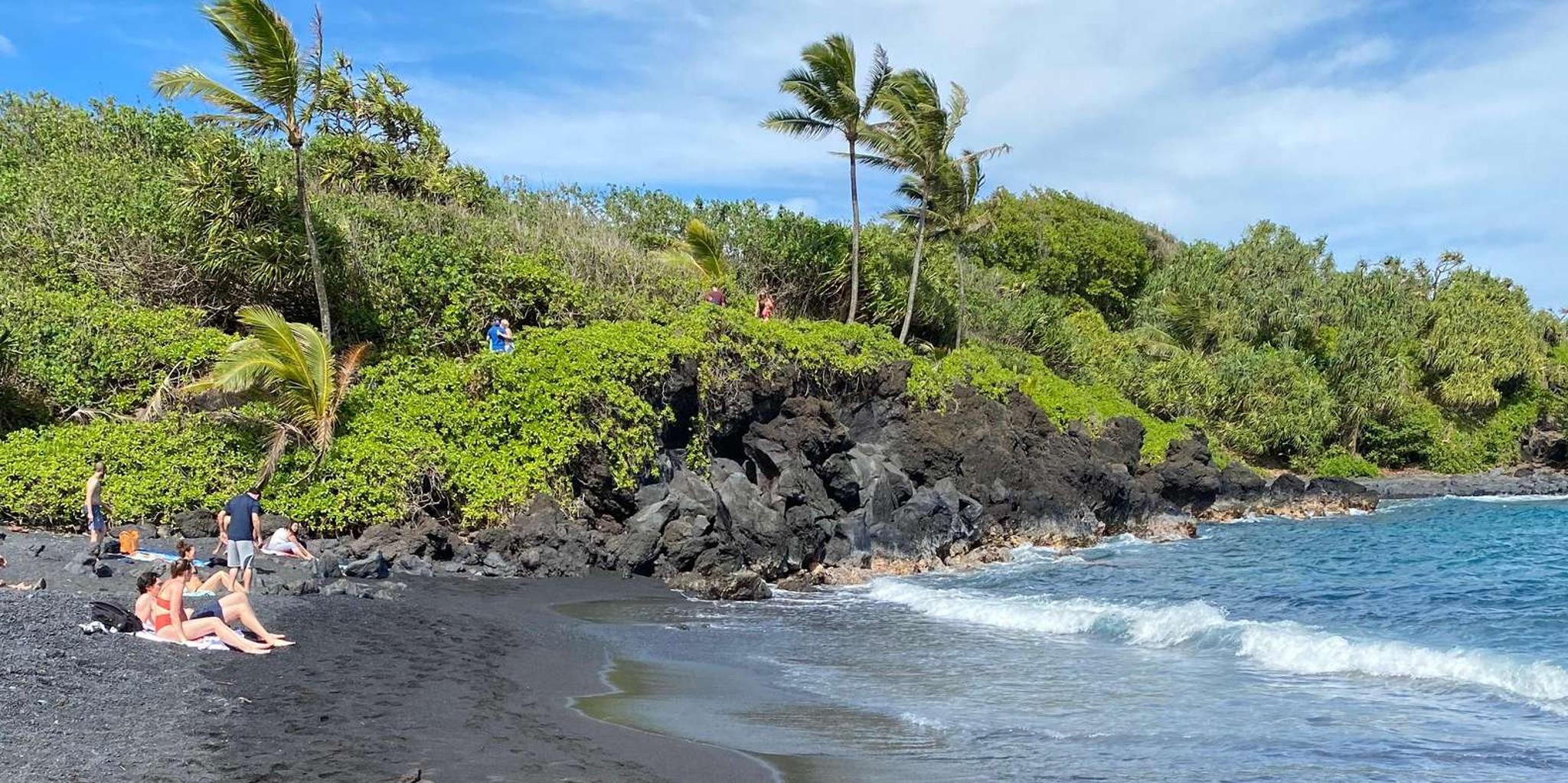 Maui Van Tour to Hana with Local Guide - Image 4