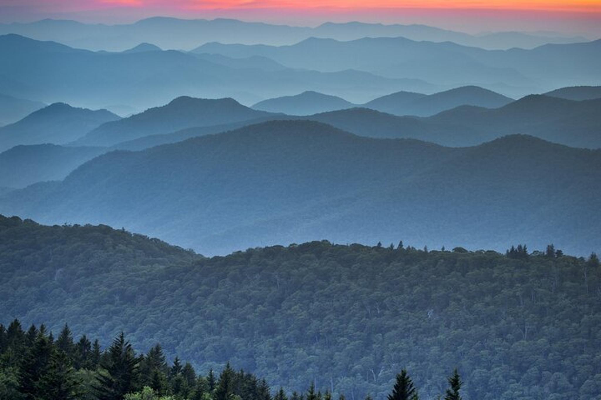 Asheville Hike with Long Range Views - Image 4