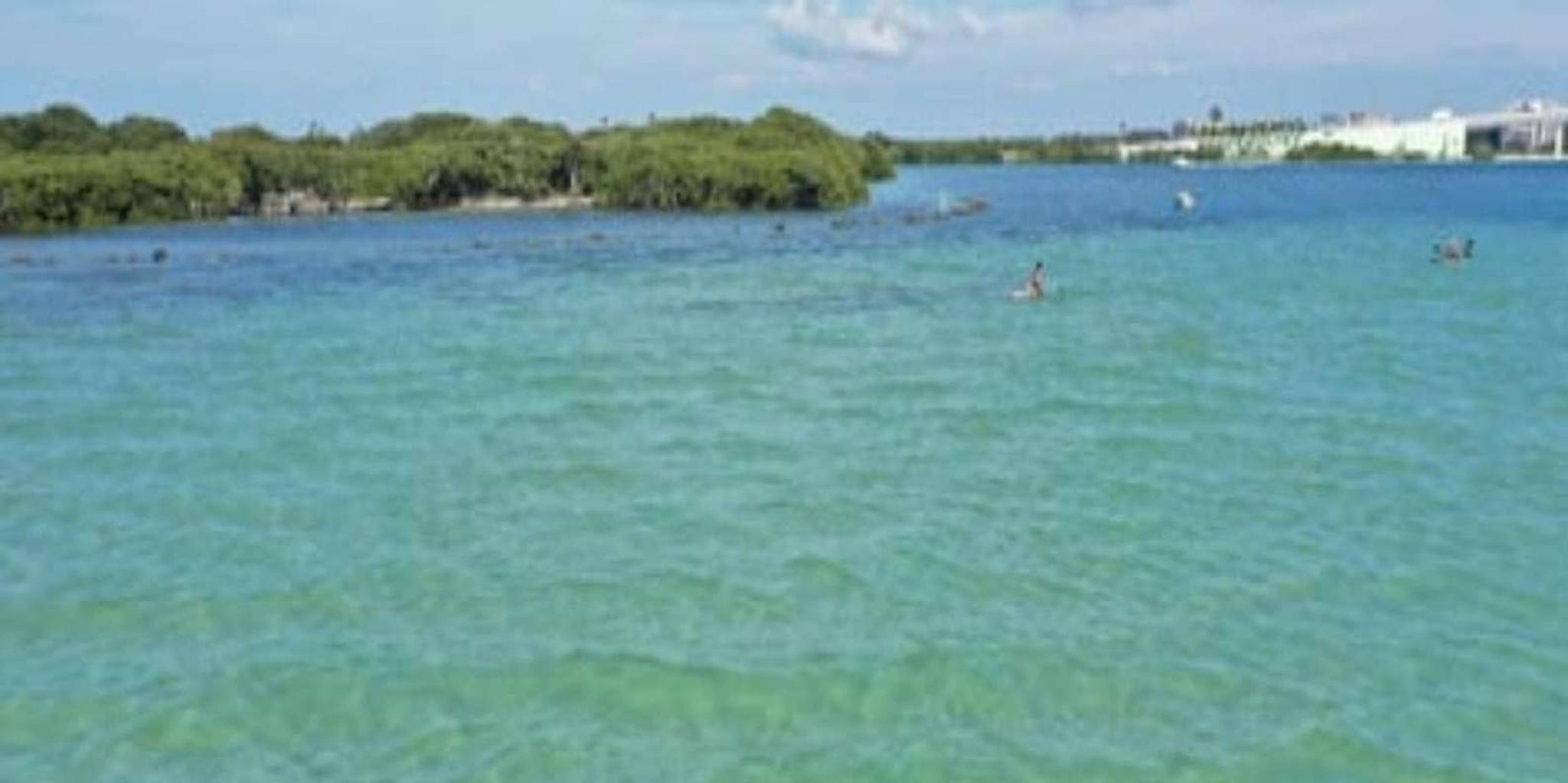 Clearwater Beach Clear Kayak Tour - Image 4