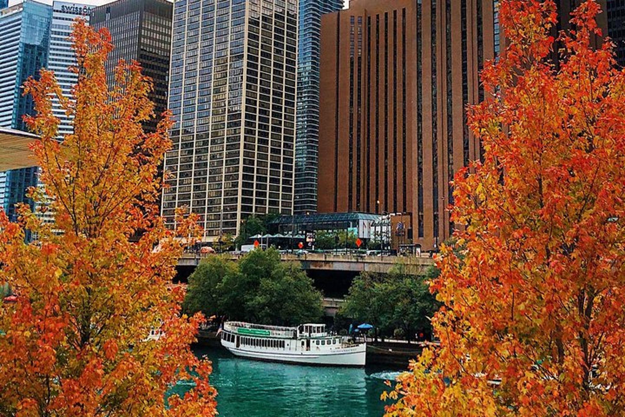 Chicago River Architecture Cruise