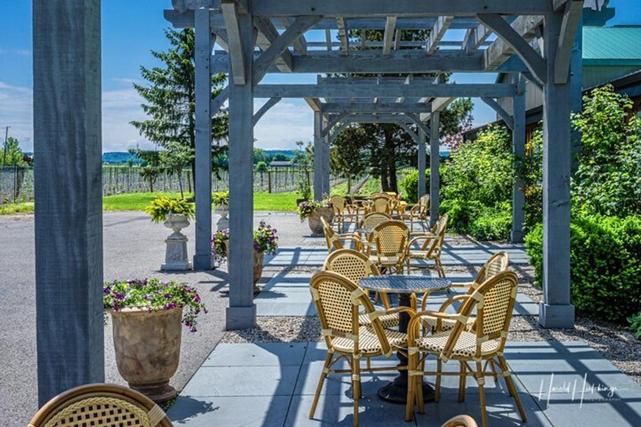 Niagara Falls Winery Tour from Niagara Falls, NY - Image 4