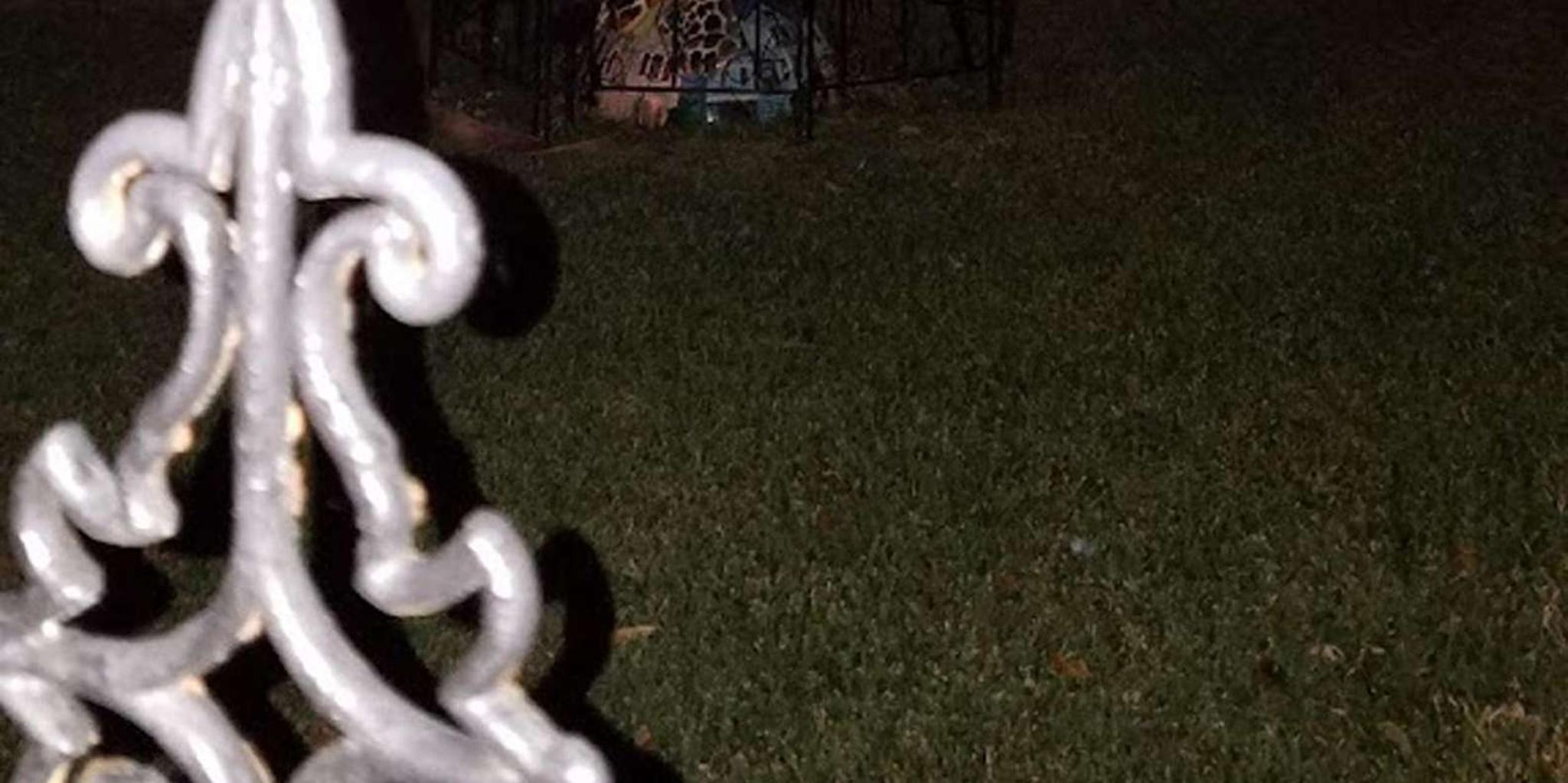 Galveston Ghost Walking Tour on The Strand - Image 6