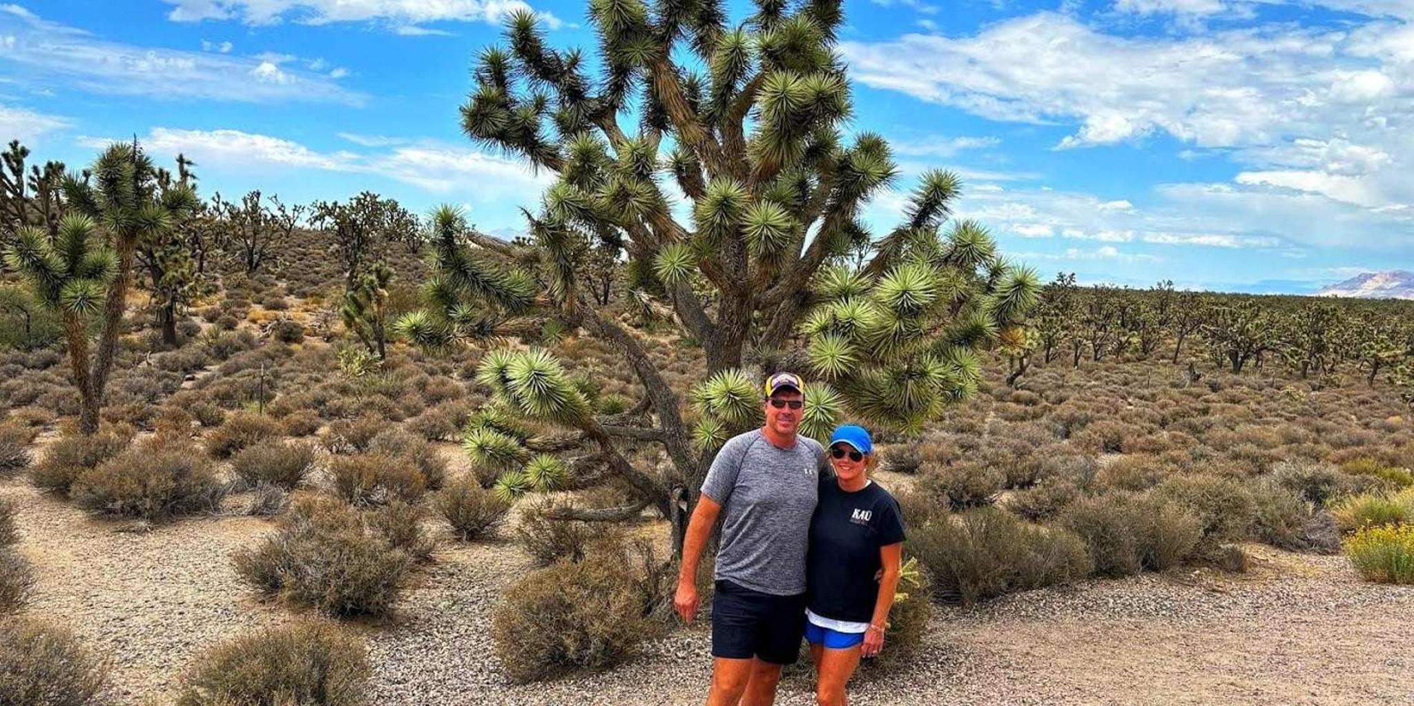Las Vegas to Los Angeles Tour via Joshua Tree - Image 2