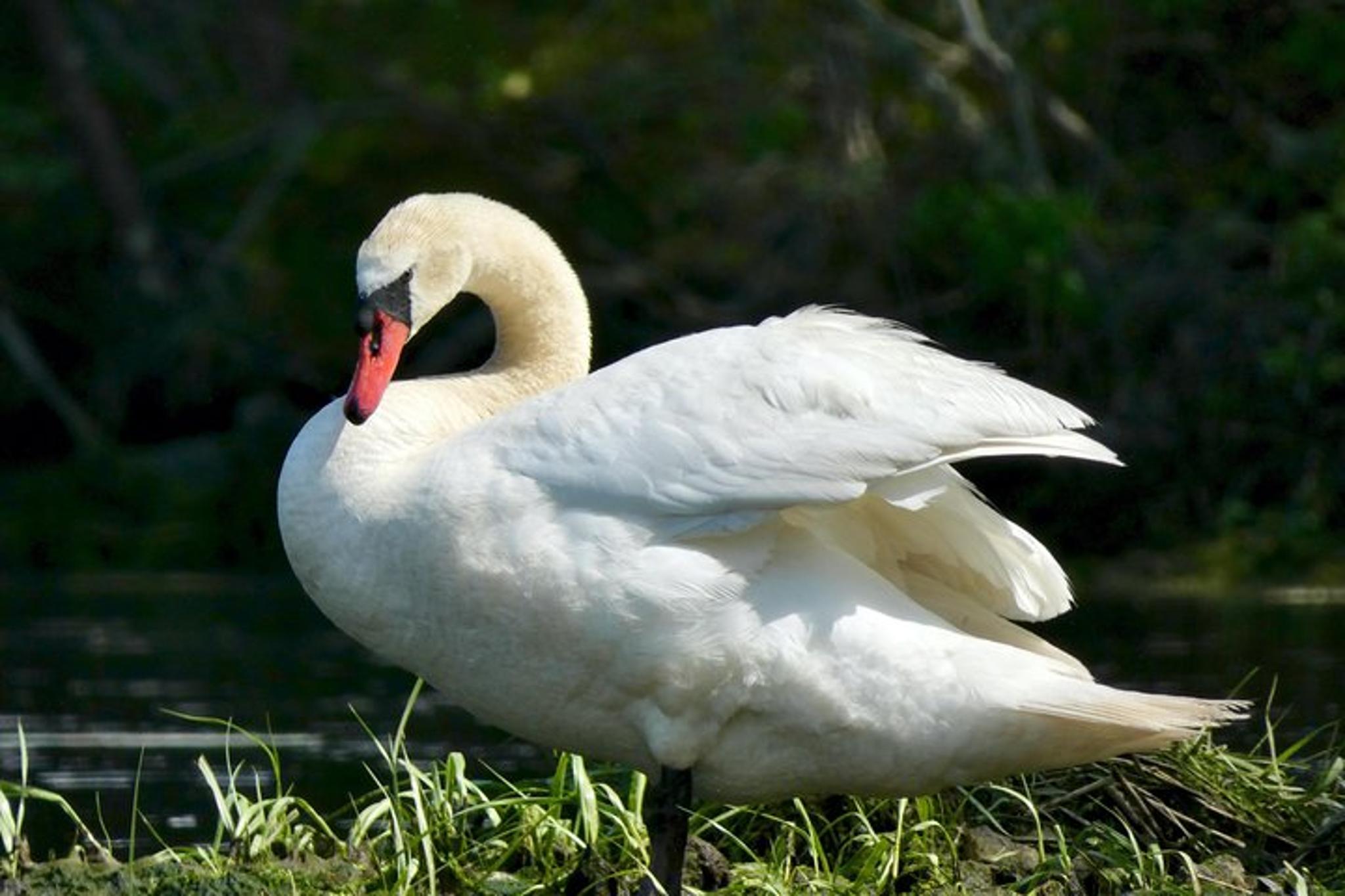 Cape Cod Kayak Tour - Image 6