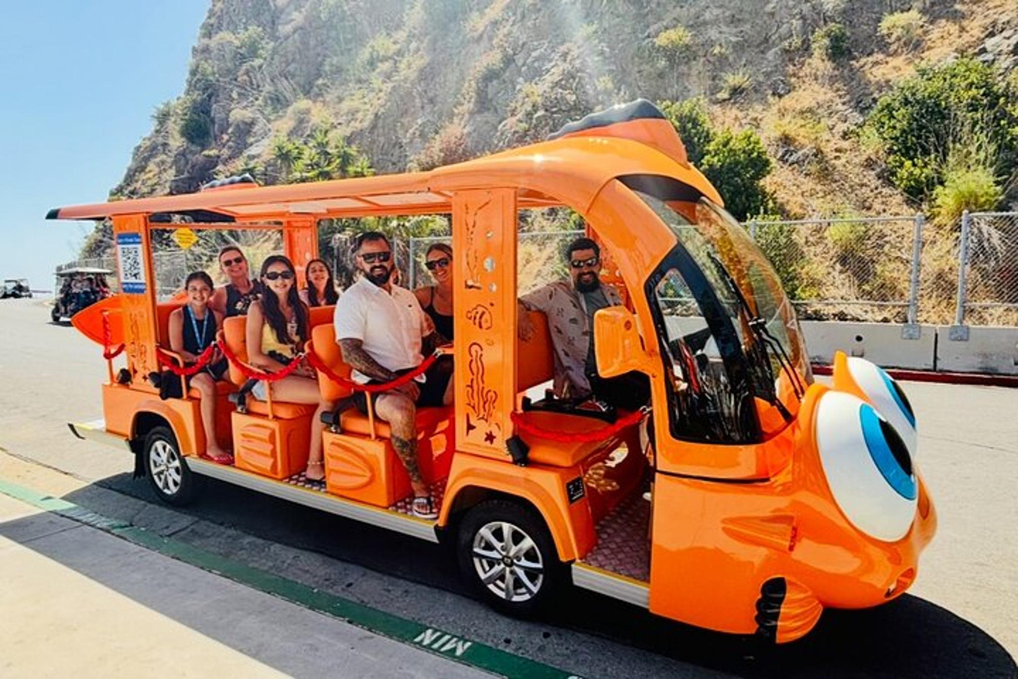 Avalon Guided City Tour in a Unique Golf Cart - Image 6