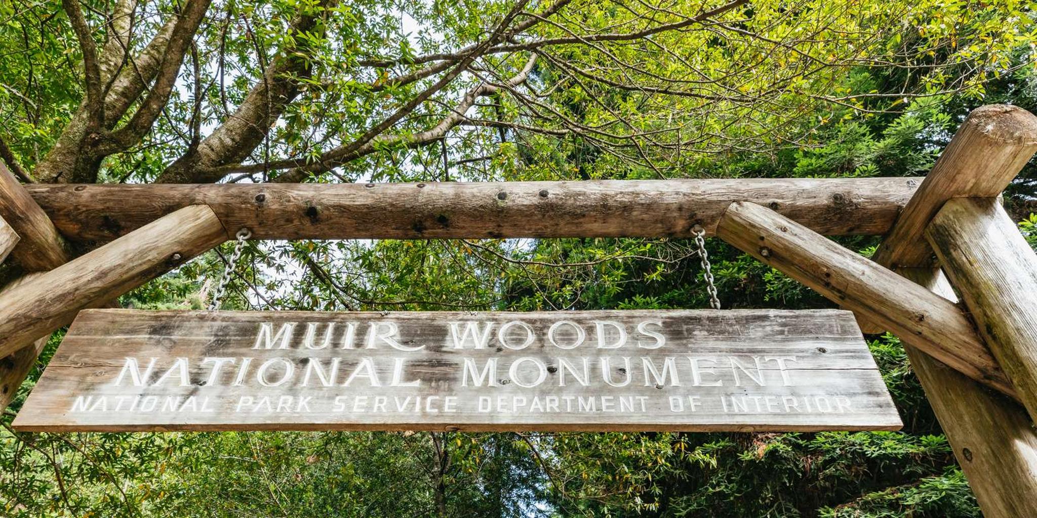 San Francisco Muir Woods and Sausalito Tour - Image 5