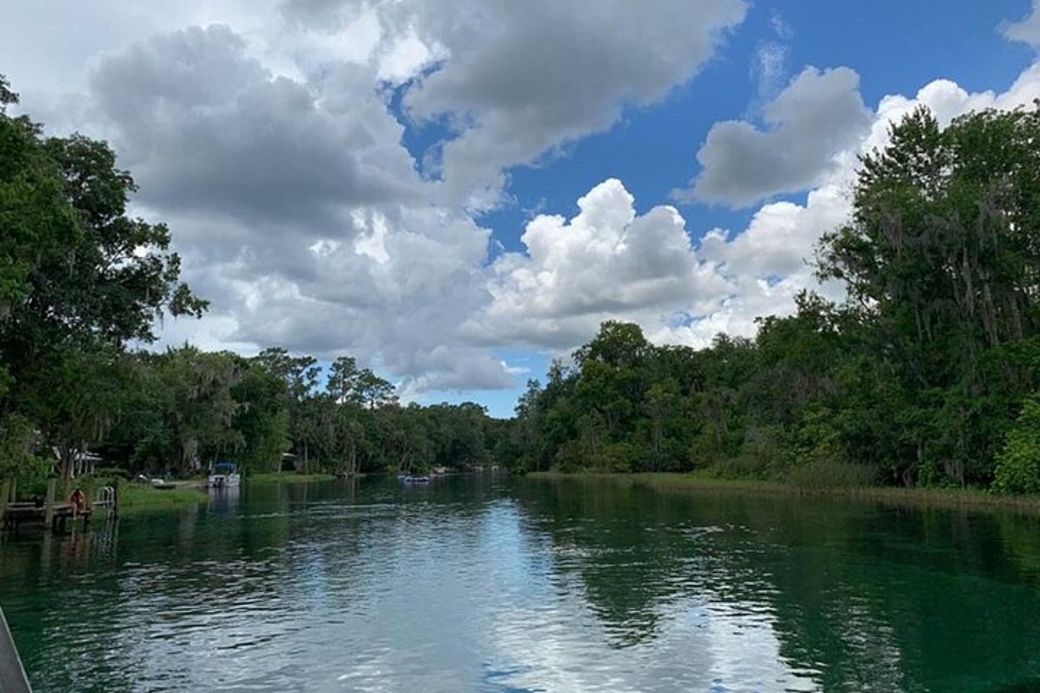 Florida Rainbow River Snorkel or Dive Tour - Image 4