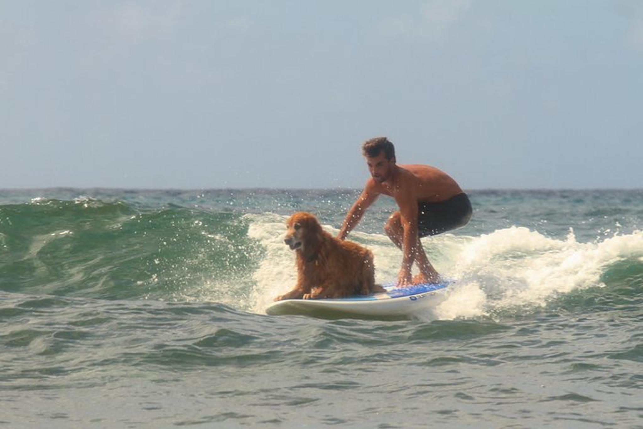 Punaluu Surf Lesson - Image 5