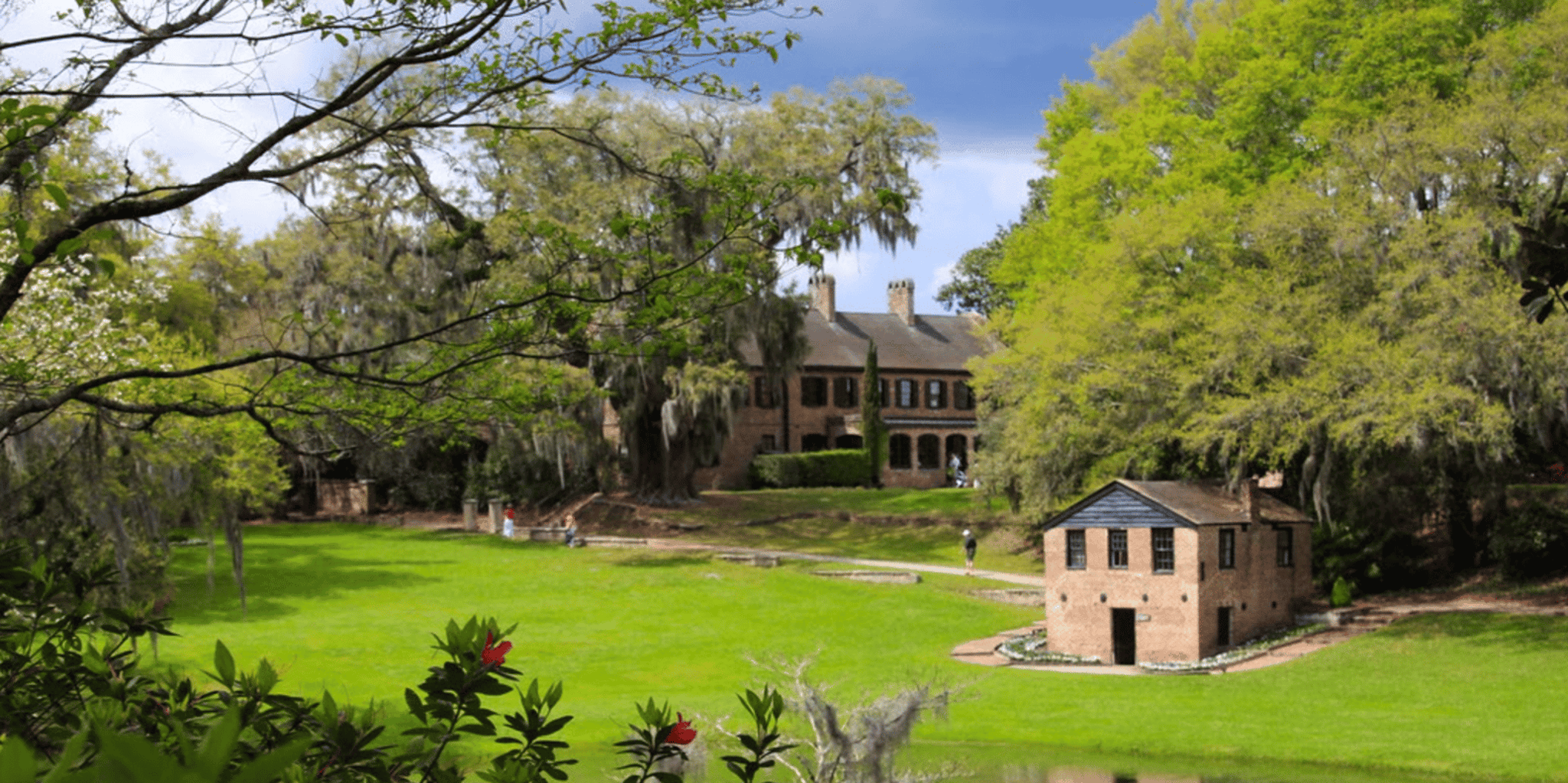Charleston Plantation Guided Tour - Image 4