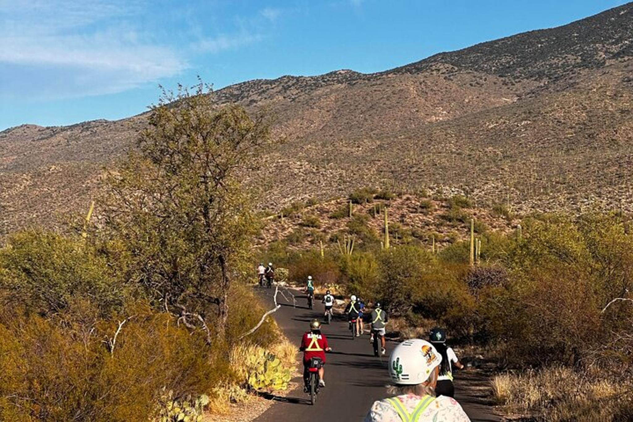 Tucson E-Bike Tour at Sunset in Saguaro National Park - Image 5
