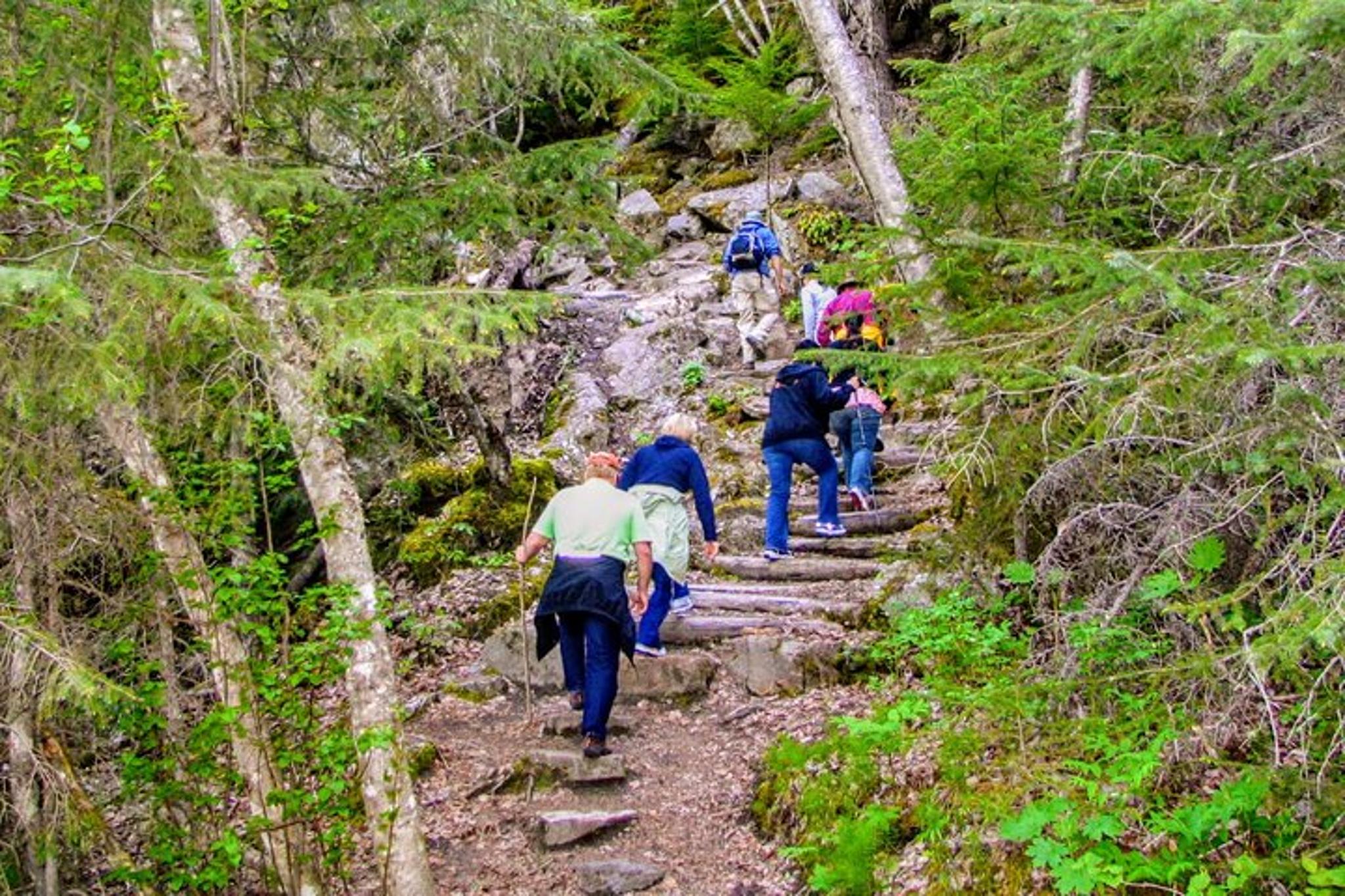 Skagway Chilkoot Trail Hike and Float Tour - Image 3