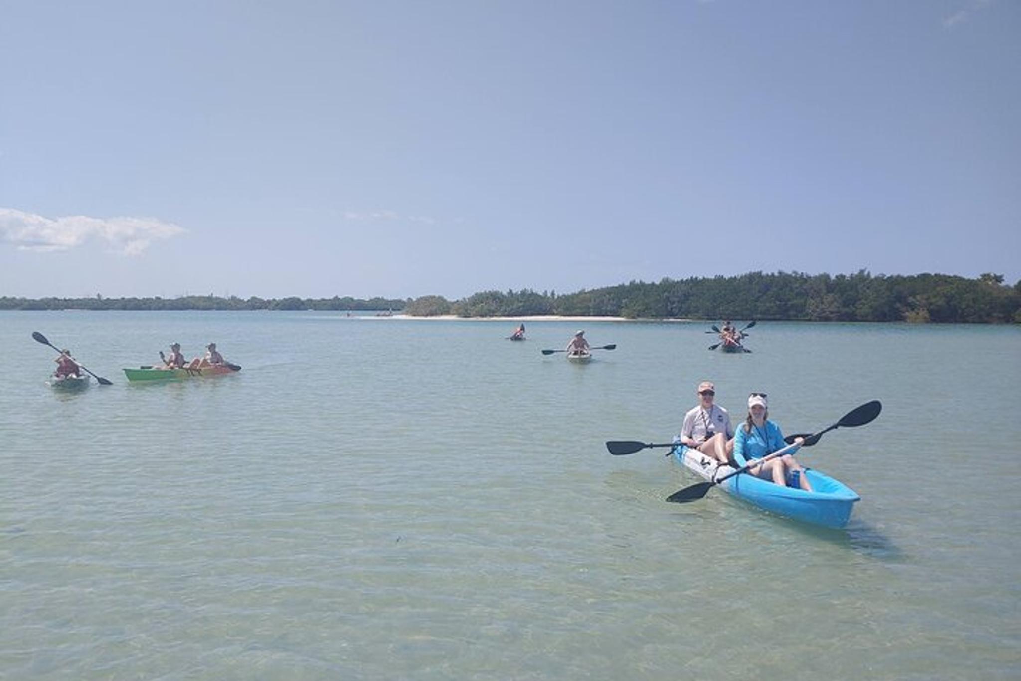 Tampa Bay Kayak Tour of Shell Key Preserve - Image 4