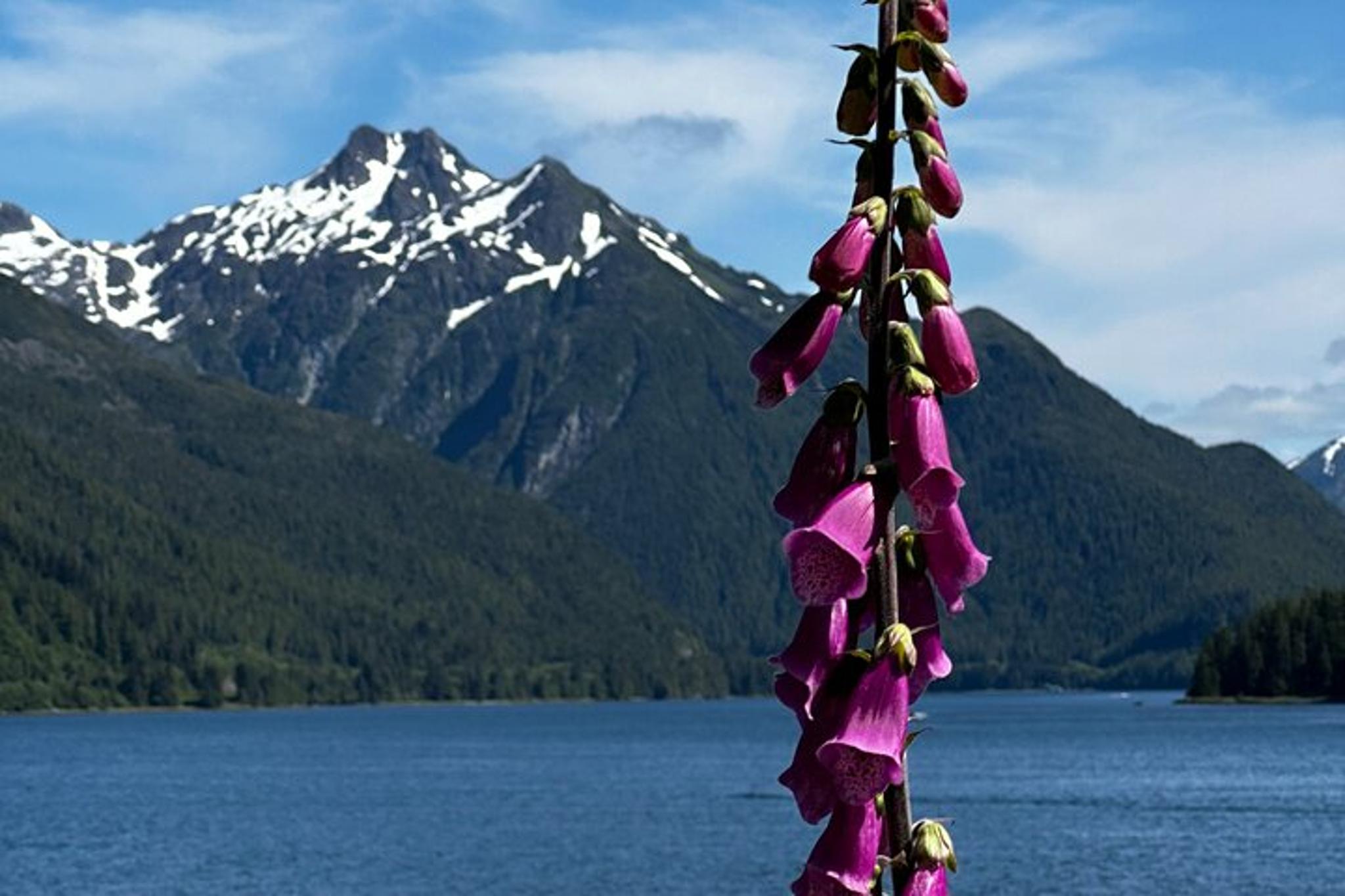 Sitka 4x4 Adventure Tour with Lunch - Image 3