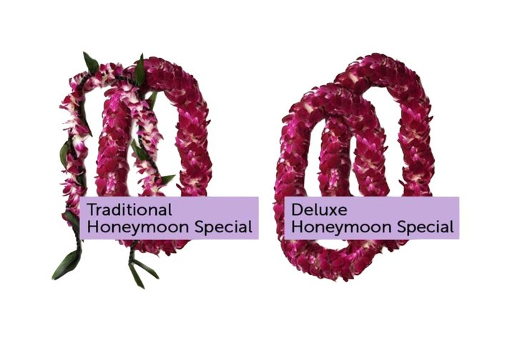 Honolulu Airport Lei Greeting - Image 5