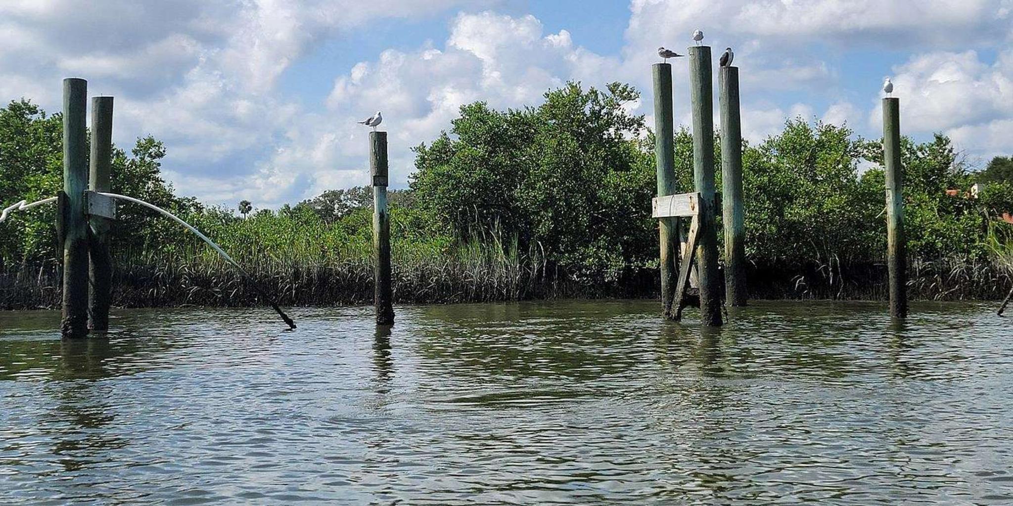 St. Augustine Salt Marsh Kayak Tour - Image 6