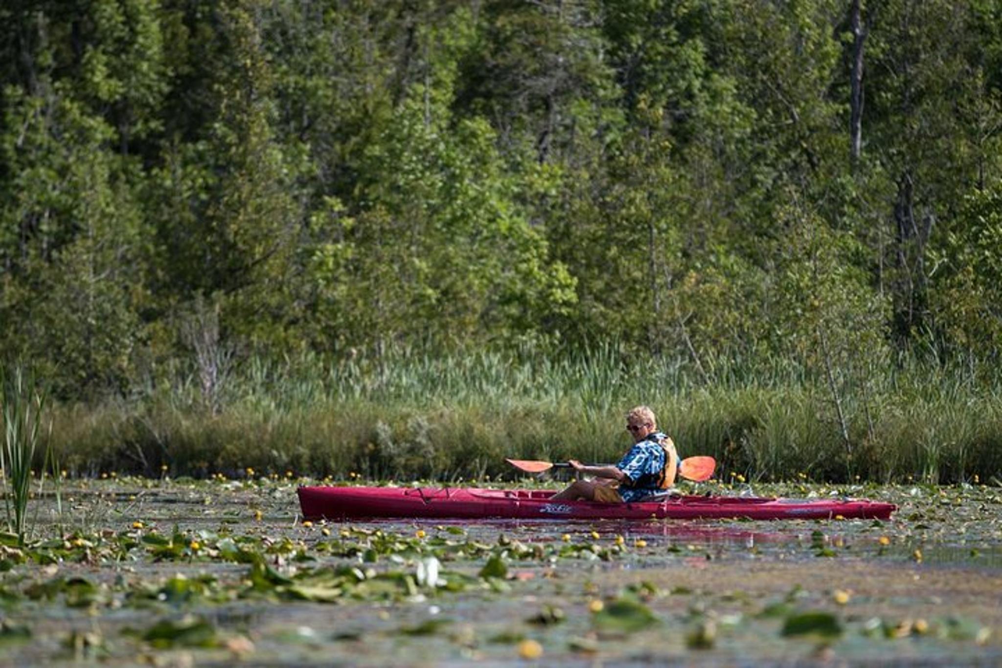 Door County Wetlands Kayak Tour