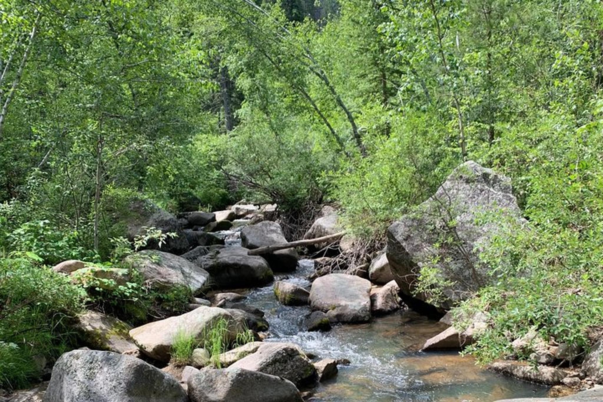 Mount Rushmore Flume Trail Hike - Image 3
