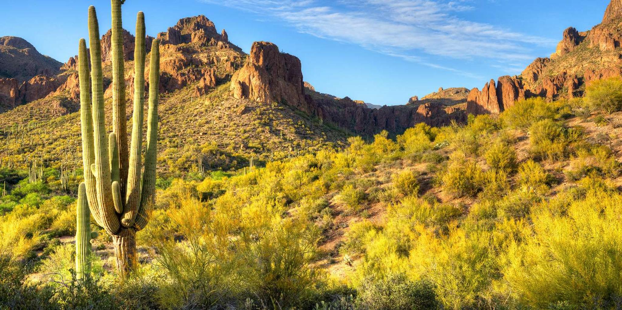 Sedona Day Trip from Phoenix - Image 3