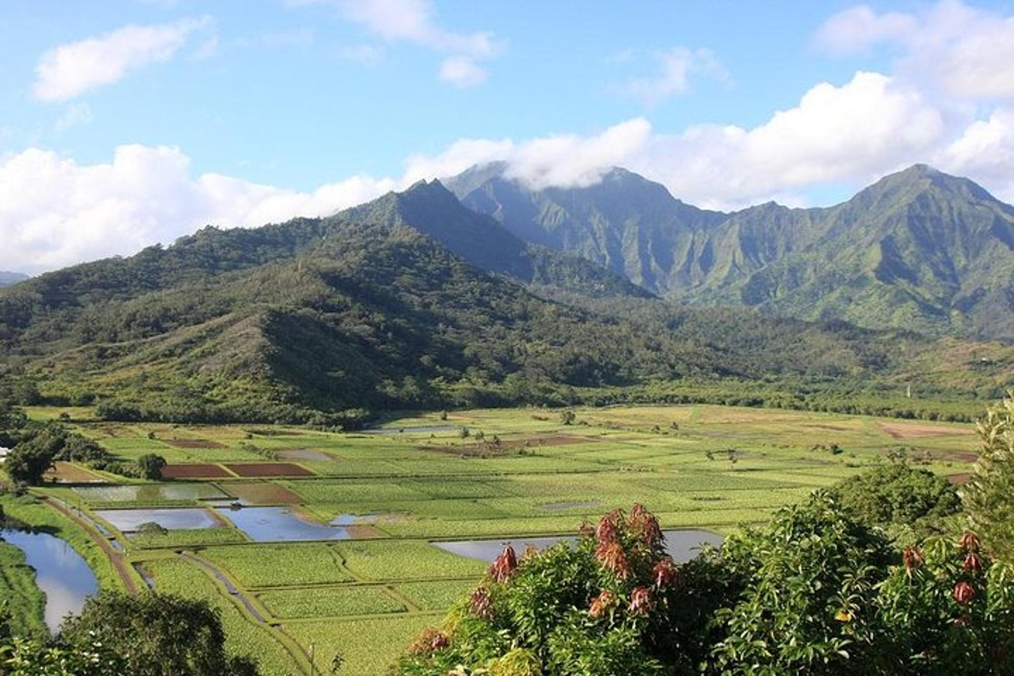 Kauai Movie Locations Tour - Image 3