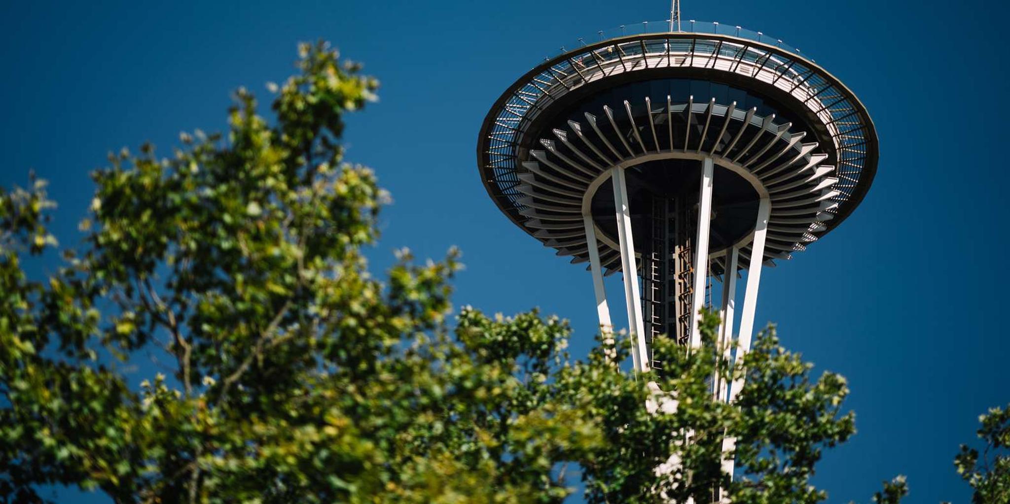 Seattle City Tour with Pike Place Market and Space Needle - Image 3
