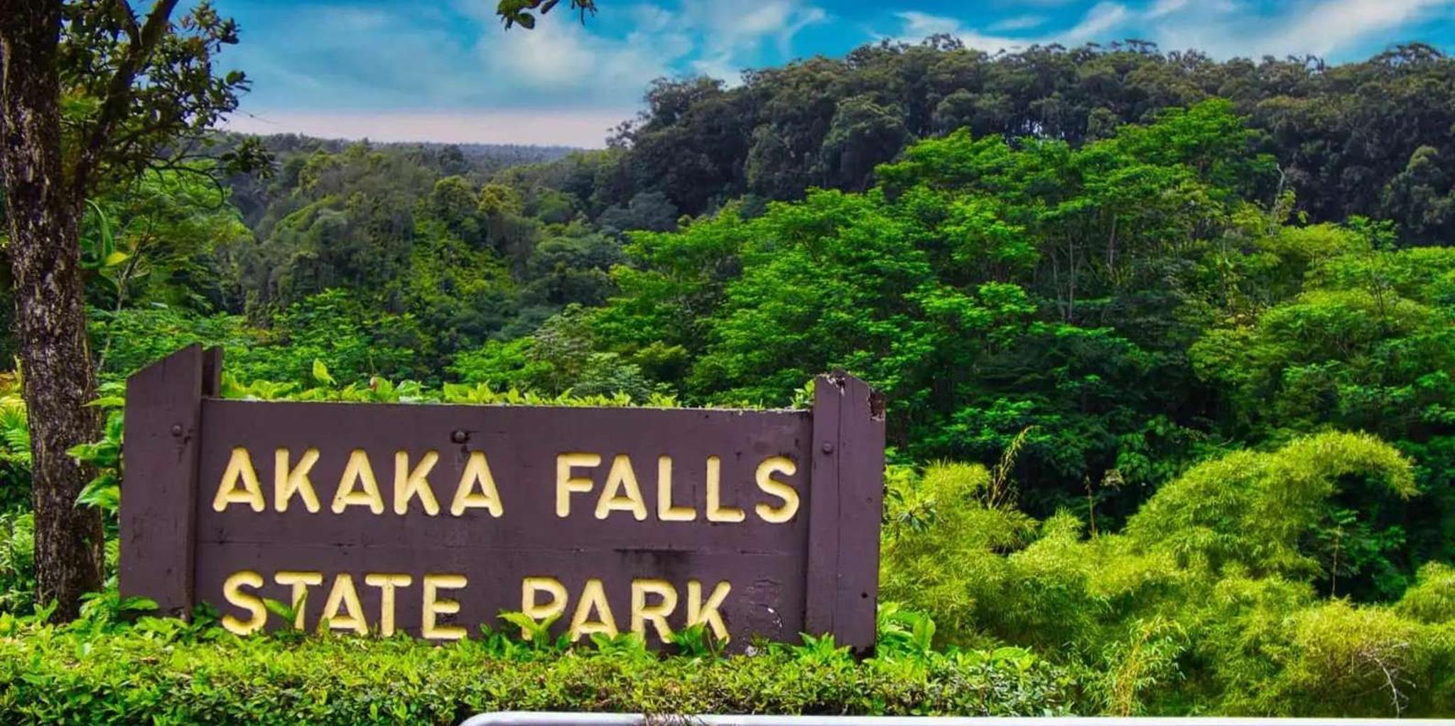 Hilo Waterfalls and Volcanoes Guided Tour - Image 1