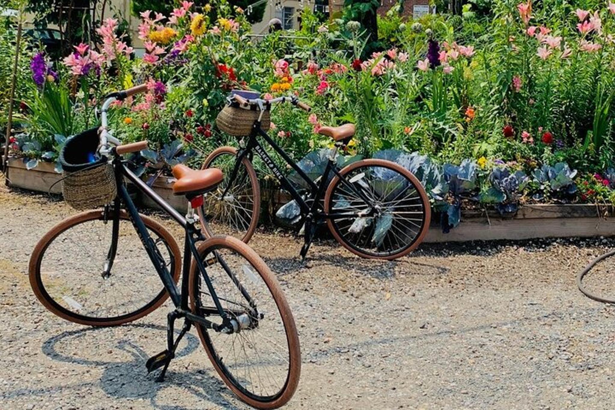 Richmond Art and Secret Garden Bike Tour