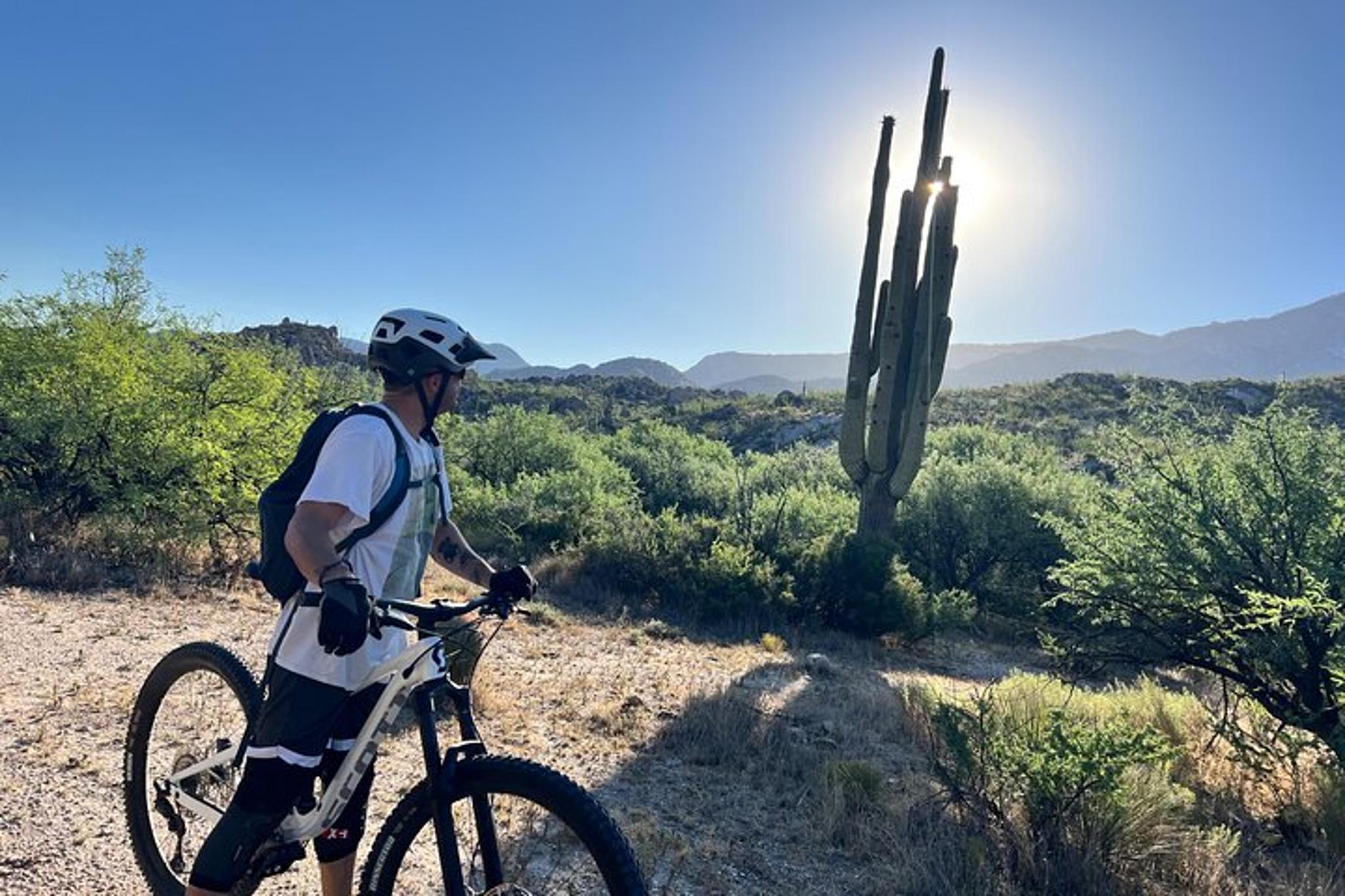 Tucson Mountain Bike Adventure - Image 5