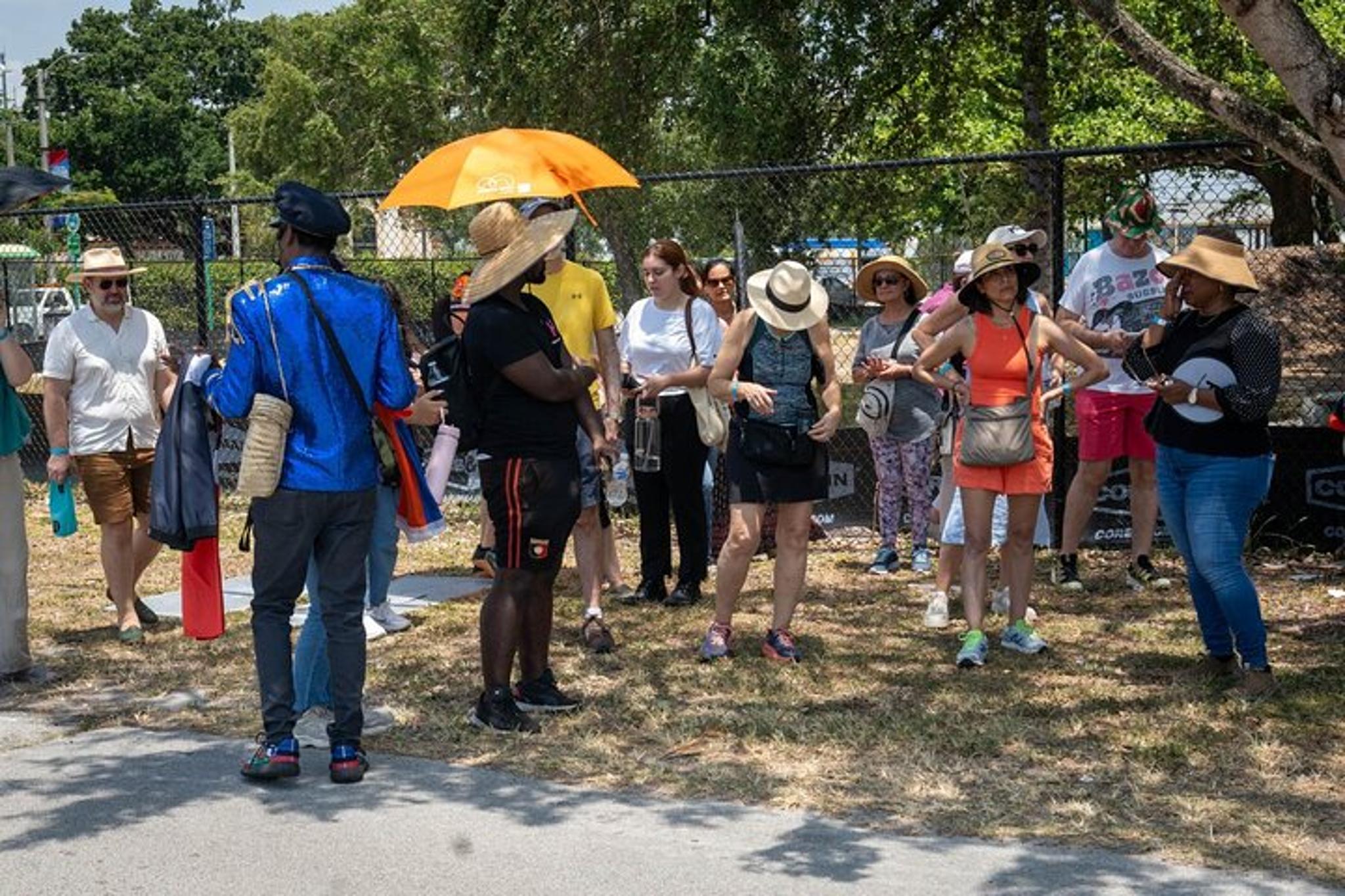 Miami Little Haiti Culture Tour - Image 5