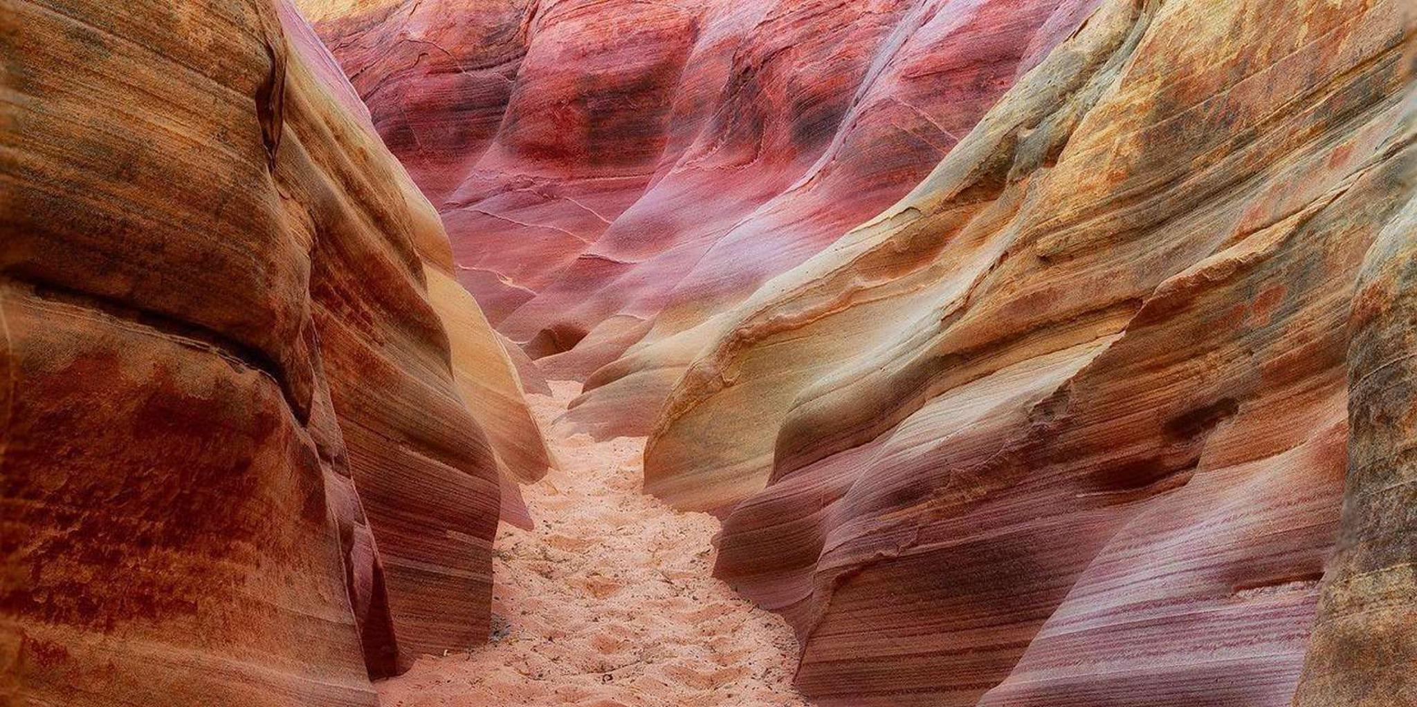 Las Vegas Valley of Fire State Park Tour - Image 5