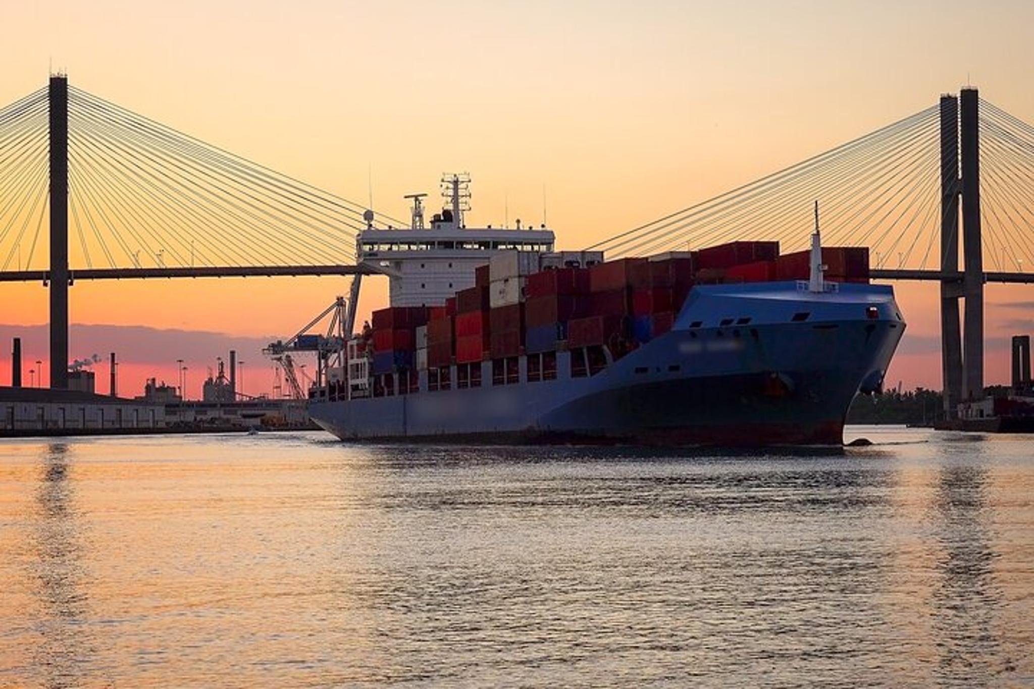 Savannah Dolphin Watching Eco Tour at Sunset - Image 5