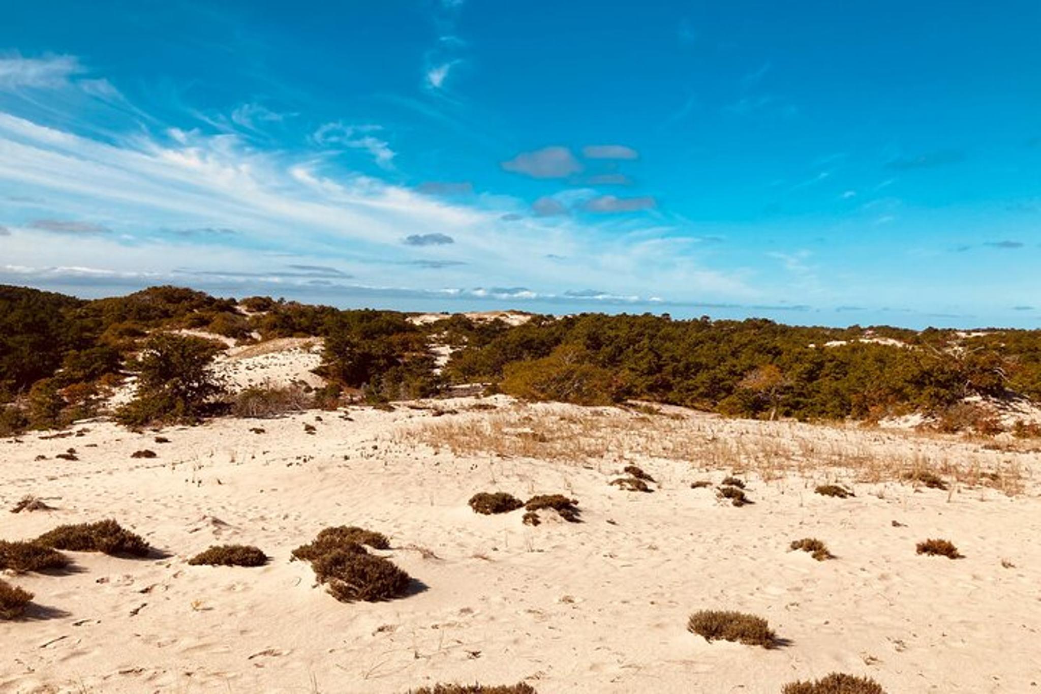 Cape Cod National Seashore Guided Hike - Image 6