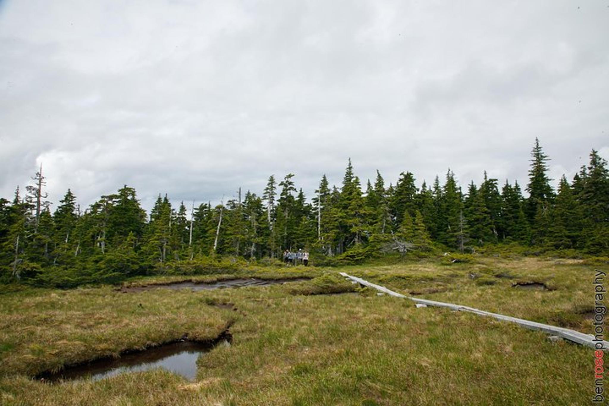 Haines Mount Riley Hike - Image 4